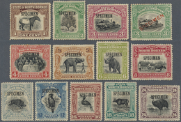 */(*) Nordborneo: 1909/1923, Pictorial Definitives Complete Set Of 13 With Black SPECIMEN Opt. Mint Hinged - North Borneo (...-1963)