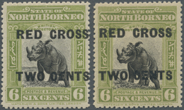 * Nordborneo: 1918, Pictorial Definitive 6c. 'Sumatran Rhinoceros' In Olive-green And Apple-green Optd - North Borneo (...-1963)