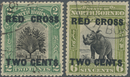 O Nordborneo: 1918, Pictorial Definitives 2c. 'Travellers Tree' And 6c. 'Sumatran Rhinoceros' Both Wit - Noord Borneo (...-1963)