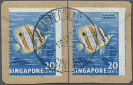 Brfst Singapur: 1962, Definitive Issue 20c. 'Copper-banded Butterflyfish' Two Singles With Grossly Misplac - Singapore (...-1959)