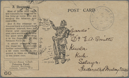 Br Malaiische Staaten - Selangor: 1919, PETCHENGA - A Request C.D.S: ON "BACCY" CARD ADDRESSED TO MALAY - Selangor