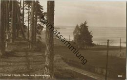 Lindow (Mark) - Partie Am Gudelacksee - Foto-AK 20er Jahre - Lindow