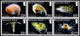 Ascension Island - 2017 - Plankton - Mint Stamp Set - Ascension (Ile De L')