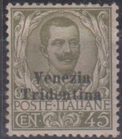 Trentino 1918 Regno 45 Cent.centrato Con Sovrastampa 1v. MLH. - Trentin