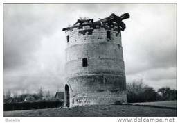 62. ARDRES (Pas-de-Calais) - Moulin / Mill / Molen - Ruine Du Vieux Moulin (1986) - Carte Photo Véritable - Ardres