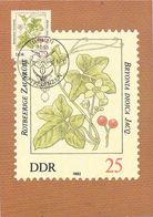 27198. Tarjeta Maxima BERLIN (Alemania DDR) 1982. Giftpflanzen. Planta Venenosa - Giftige Planten