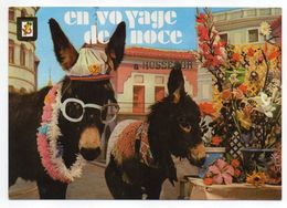 Delcampe - HOSSEGOR--1973--Fantaisie "Voyage De Noce à Hossegor" (ânes)---cachet Hossegor-40,  Pas Très Courante - Hossegor