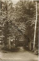 Lindow (Mark) - Weg Zum Schützenhaus - Foto-AK 20er Jahre - Verlag G. Schroeter Lindow Buch- Und Papierhandlung - Lindow