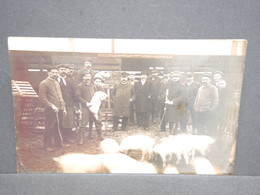 Rare Carte Photo Marché Aux Cochons De Jeumont - 9 Déc 1907 - P 22547 - Jeumont