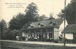 SOMME CRECY EN PONTHIEU  La Foret LA HALTE AU CHEMIN DE FER - Crecy En Ponthieu