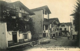 PYRENEES ATLANTIQUES  CAMBO LES BAINS  Quartier Cherry Kasika - Cambo-les-Bains