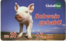 TARJETA DE SUIZA DE GLOBALONE DE UN CERDO (PIG) - Zwitserland