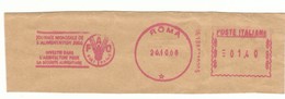 EMA AFS METER STAMP FREISTEMPEL -  CUT ITALY FAO Food And Agriculture Organization Of The United Nations - Against Starve