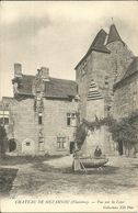 MEZARNOU  -- Château, Vue Sur La Cour                                           -- ND 156 - Autres Communes