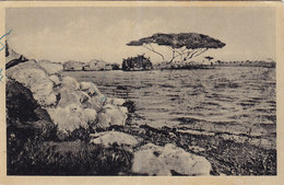 ERITREA - MASSAUA -  ISOLE DHALAC /  Laghetto _ Edizione  Esclusiva Cartoleria A.O. - Erythrée