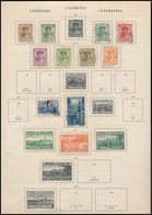 * O Luxemburg 1875-1921 8 Albumlapon - Andere & Zonder Classificatie