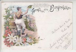 GRUSS VON DEN BERGESCHÖHEN - ILLUSTRATION - LITHO - DOS UNIQUE - 9.07.01 - CACHET DE " ANDEER" - Andeer