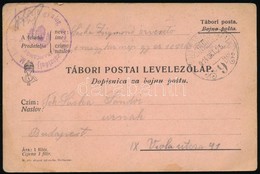 1916 Tábori Posta Levelezőlap 'M.kir. 1. Népfölkelő Gyalog Ezred 3. Zászlóalj Parancsnokság' + 'TP 9' - Other & Unclassified