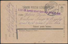 1918 Tábori Posta Levelezőlap 'M.kir. 139 Honvéd Tábori Tüzér Ezred élelmező Tiszt' + 'TP 425 A' - Andere & Zonder Classificatie