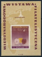 ** 1955 Nemzetközi Bélyegkiállítás Blokk Mi 17 - Andere & Zonder Classificatie