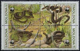 1993 WWF: Kígyó Sor 4 FDC-n + Négyestömb Mi 50-53 - Andere & Zonder Classificatie