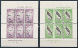 ** 1961 Egészség: Madarak (III). Kisívsor Mi 416-417 - Andere & Zonder Classificatie