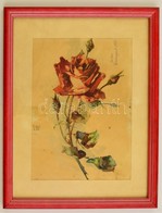 Sidó Géza (?-?): Rózsaszál. Akvarell, Papír, üvegezett Keretben, Foltos, 24×29 Cm - Other & Unclassified