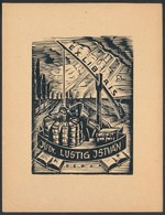 Jaro Beran  (1892-1962): Ex Libris, Dr. Lustig István. Fametszet, Papír, Jelzett A Dúcon, 10×7 Cm - Other & Unclassified