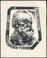 Fery Antal (1908-1994): Victor Hugo Ex Libris. Klisé, Papír, Jelzett A Klisén, 10x8 Cm - Other & Unclassified