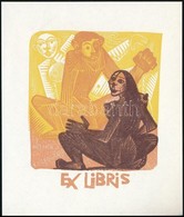 Antoni Gelabert (1911-1990): Erotikus Ex Libris Helmer Fogedgaard. Színes Fametszet, Papír, Jelzés Nélkül, 8×6,5 Cm - Other & Unclassified