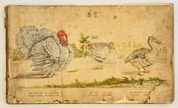 Cca 1820 Trentsensky Matthias (1790-1868) - Trentsensky Joseph (1794-1839): Állatok Bemutatása Négy Nyelven. 54 Db Nagym - Prints & Engravings
