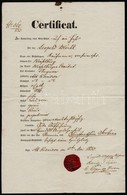 1853 Magyarkanizsa (Alt-Kanizsa), Német Nyelven Kiállított útlevél Szerbiába, Viaszpecséttel - Zonder Classificatie