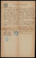 1884 Bucsu (Vas M.), Községi Bizonyítvány, Magyar Nyelven, Okmánybélyeggel, Bélyegzőkkel - Unclassified