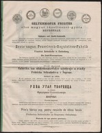 Cca 1890 Seltenhofer Frigyes Tűzoltószer Gyár Képes Reklámnyomtatvány Magyar és Más Nyelveken  8 P. 26x34 Cm - Unclassified