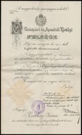 1913 Kassai Táblabírói Kinevezés Balogh Jenő Igazságügyminiszter Saját Kézzel Aláírásával. - Zonder Classificatie
