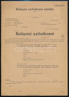Cca 1941-1944 2 Db Származásigazolással Kapcsolatok Okmány, Az Egyik Kitöltetlen - Zonder Classificatie