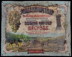 1910 Nagyősz (Bánság) Millennium Telep Szőlőoltvány Iskola Fém Reklám Tábla, Dombornyomott, Kissé Kopott, 25x32 Cm + Sző - Unclassified