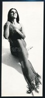 Cca 1974 Tóth Erzsébet 3 Db Vintage Fotóművészeti Alkotása, 23x10 Cm és 23,5x16 Cm Között - Other & Unclassified