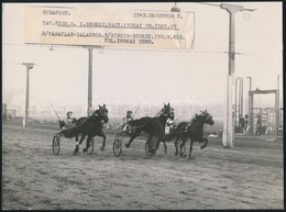 1943 Budapest, A Kerepesi ügető Befutói, Hajtó: Inokai, Feliratozott Fotó, 17x23 Cm - Other & Unclassified