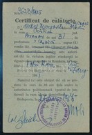 1945 Certificat De Călătorie, A Budapesti Román Katonai Szállítási Hivatal Kitöltött Igazolványa - Andere & Zonder Classificatie