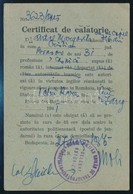 1945 Certificat De Călătorie, A Budapesti Román Katonai Szállítási Hivatal Kitöltött Igazolványa - Other & Unclassified