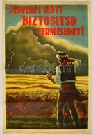 Cca 1930 'Jégverés Előtt Biztosítsd A Termésedet!' Mezőgazdasági Propaganda Plakát, Litográfia, Bruchsteiner és Fia, Szé - Andere & Zonder Classificatie