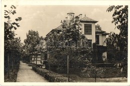 ** * 16 Db Régi Magyar és Történelmi Magyar Városképes Lap / 16 Pre-1945 Hungarian And Histroical Hungarian Town-view Po - Zonder Classificatie