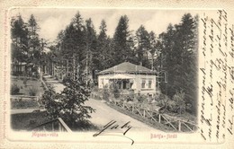 ** * 6 Db RÉGI Erdélyi és Felvidéki Városképes Lap / 6 Pre-1945 Slovakian And Transylvanian Town-view Postcards - Unclassified