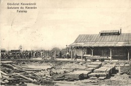 T2 Kavarán, Constantin Daicoviciu; Fatelep, Fűrésztelep / Sawmill - Unclassified