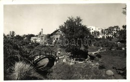 T2 Kolozsvár, Cluj; Botanikus Kert / Botanical Garden - Unclassified