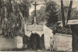 T2 Nagybánya, Baia Mare; Kereszthegyi Aranybánya Bejárata, Lobkovitz Altárna. Frankovits A. Kiadása / Gold Mine Entrance - Zonder Classificatie