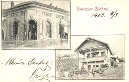 T2/T3 Zilah, Zalau; Terge József üzlete, Szőlőhegy Villával / Shop, Vineyard (EK) - Unclassified