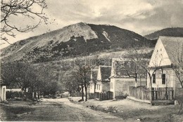 T2 Detrekőváralja, Plossenstein, Plavecké Podhradie; Utcakép Várral, üzlet / Street View With Castle, Shop - Zonder Classificatie