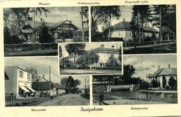 T3 Bustyaháza, Bustino; Kaszinó, Tisztviselői Lakás, Patakrészlet, Erdőigazgatóság, Utcarészlet / Casino, Clerk's House, - Unclassified